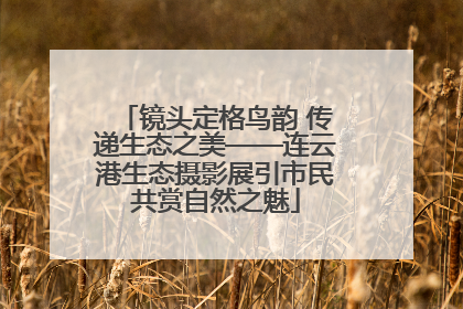 镜头定格鸟韵 传递生态之美——连云港生态摄影展引市民共赏自然之魅